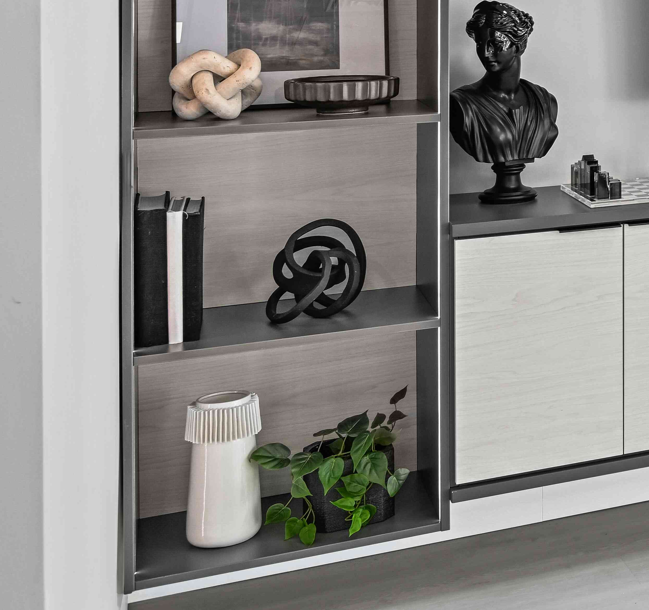 Entertainment Adjustable Shelves