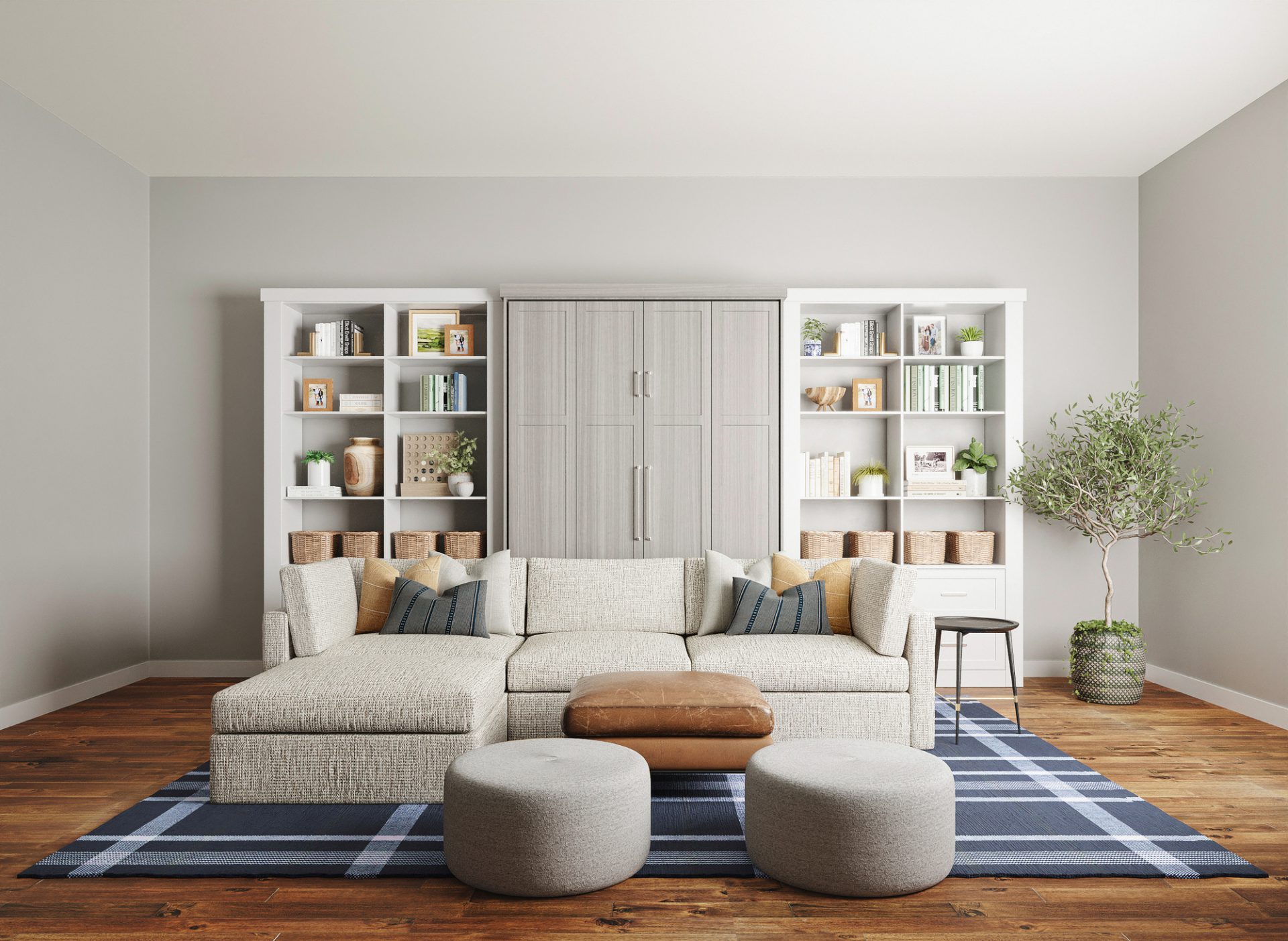 Murphy Bed | Bonus Livingroom | Inspired Closets