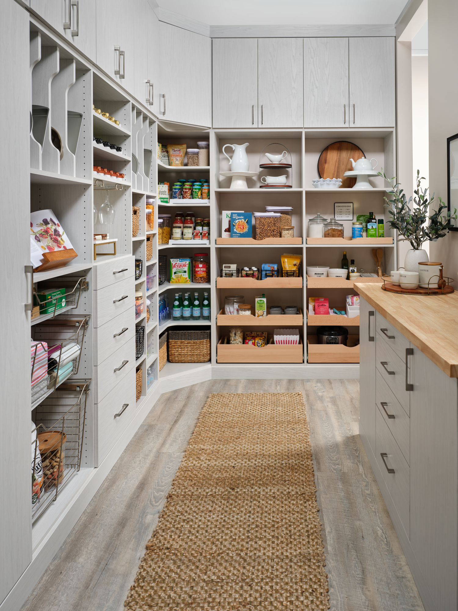 Walk-in gally pantry with pull out drawers, counter space and closed storage
