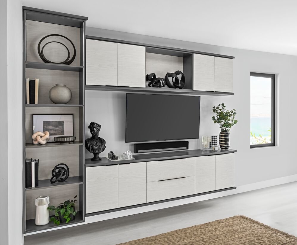 custom wall-mounted entertainment center organization solution with lots of storage space