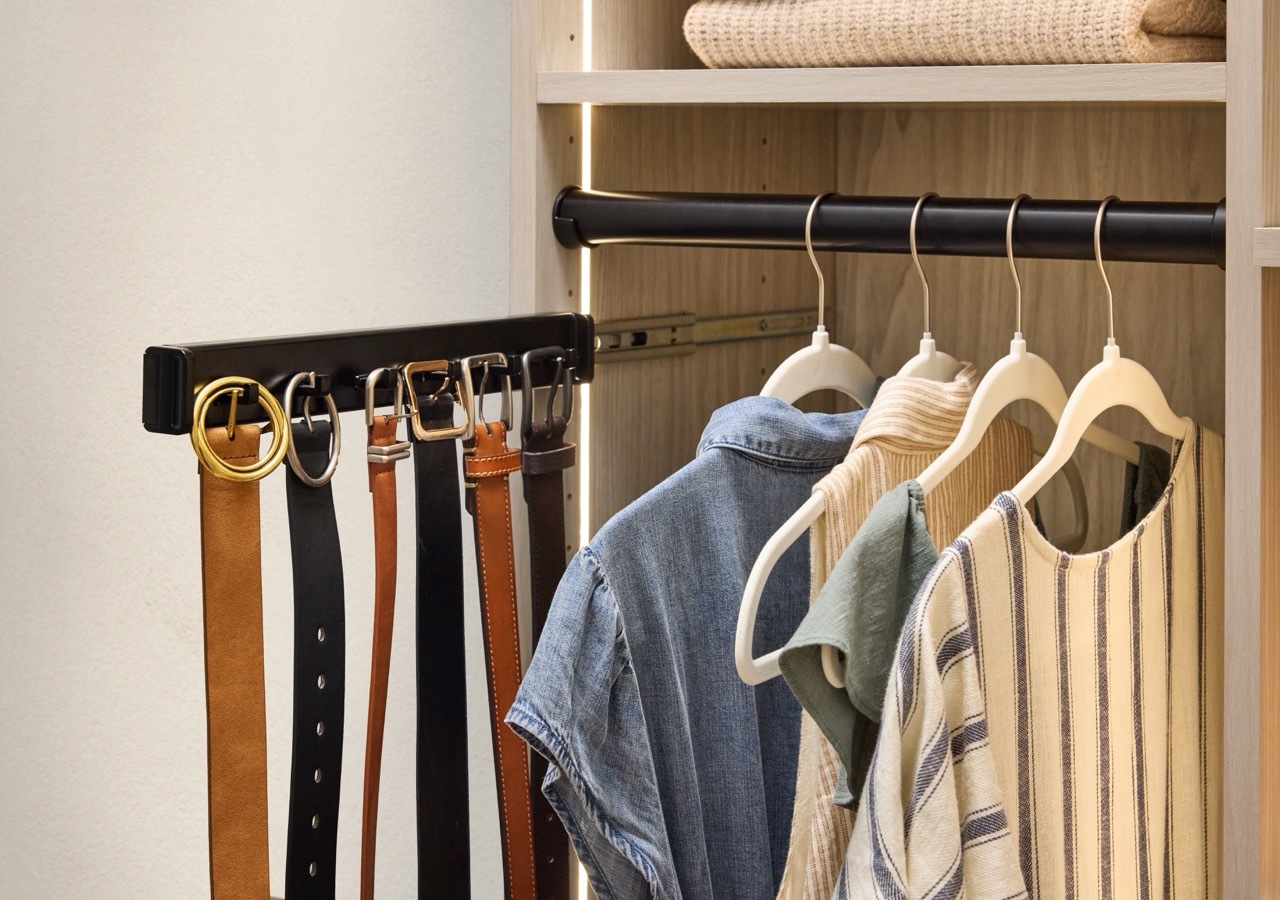 Detail of a pull-out belt rack and hanging rod holding an assortment of dresses