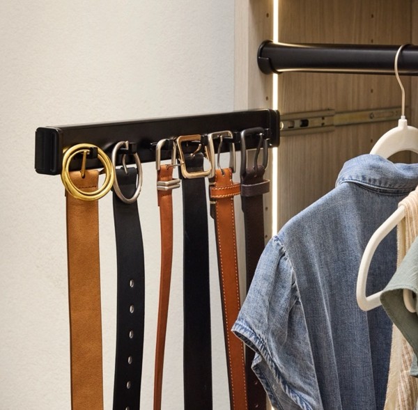 Pull-out belt rack holding a variety of belts