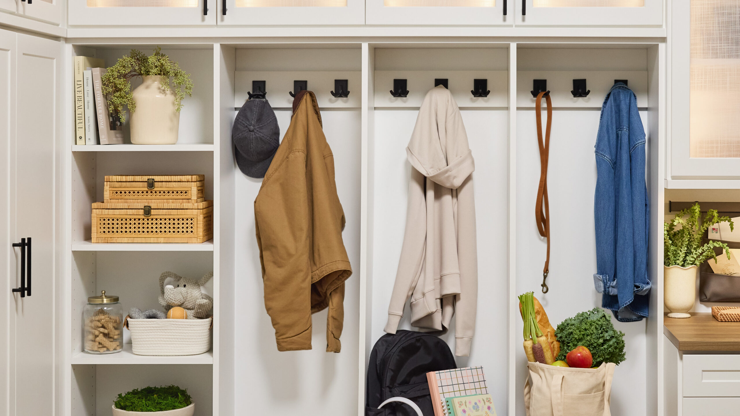 Design Tips for a Stylish Pet-Friendly Entryway