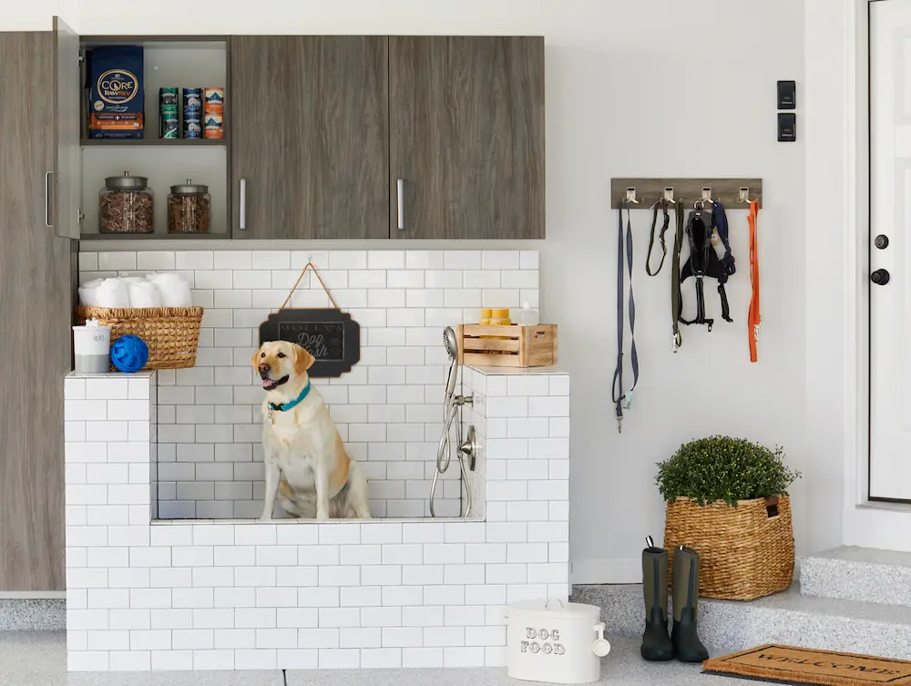Dog in Garage Bath