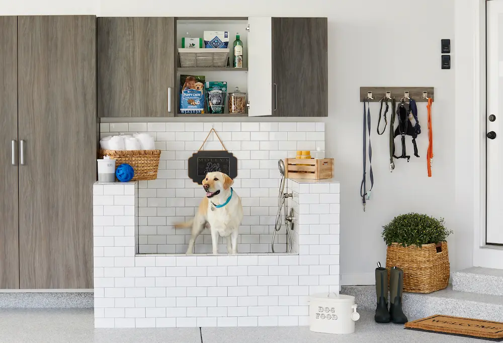 Dog in Garage Bath